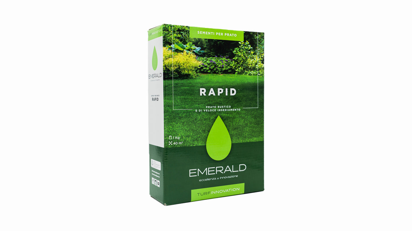 RAPID