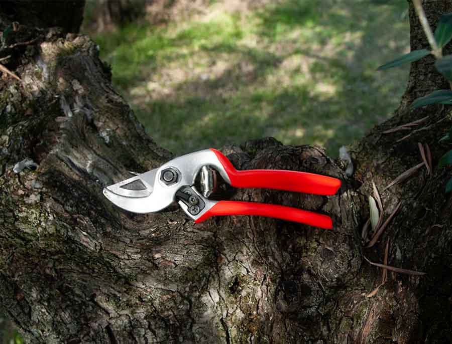 Forbice Castellari MINI