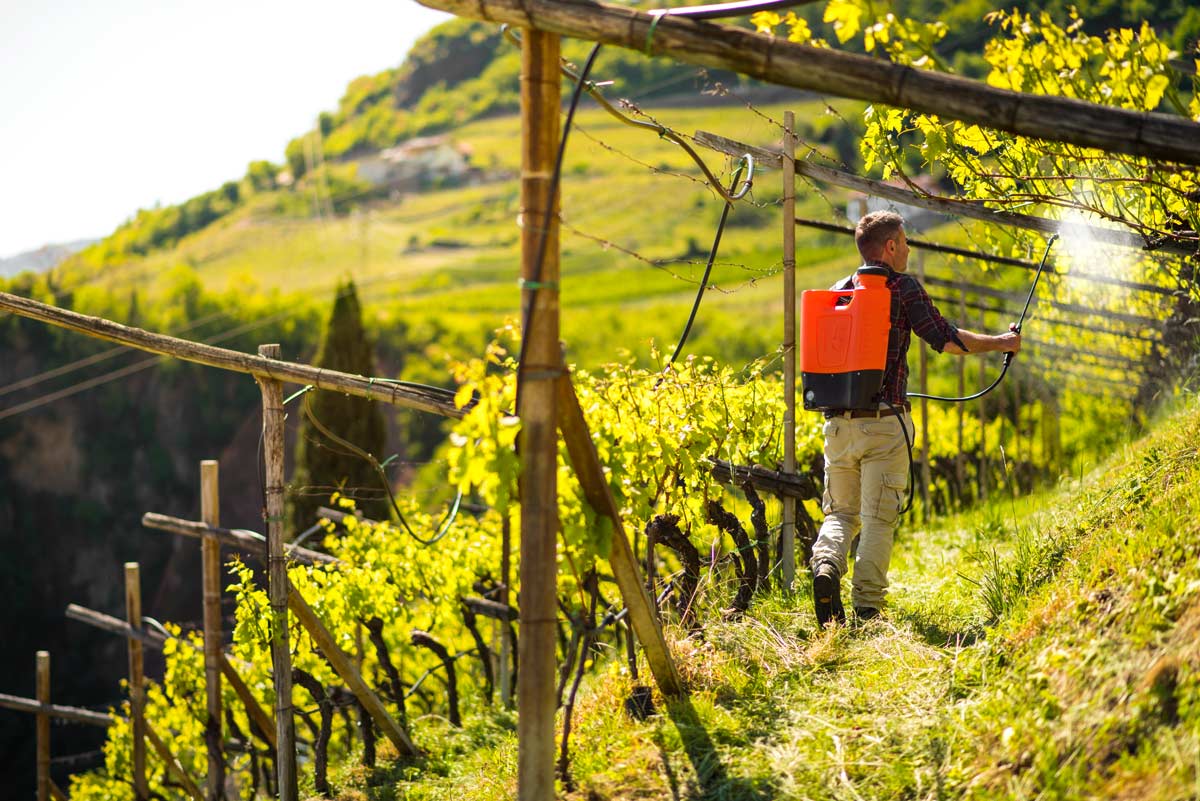 Pompa a zaino elettrica 15 L Li-Ion