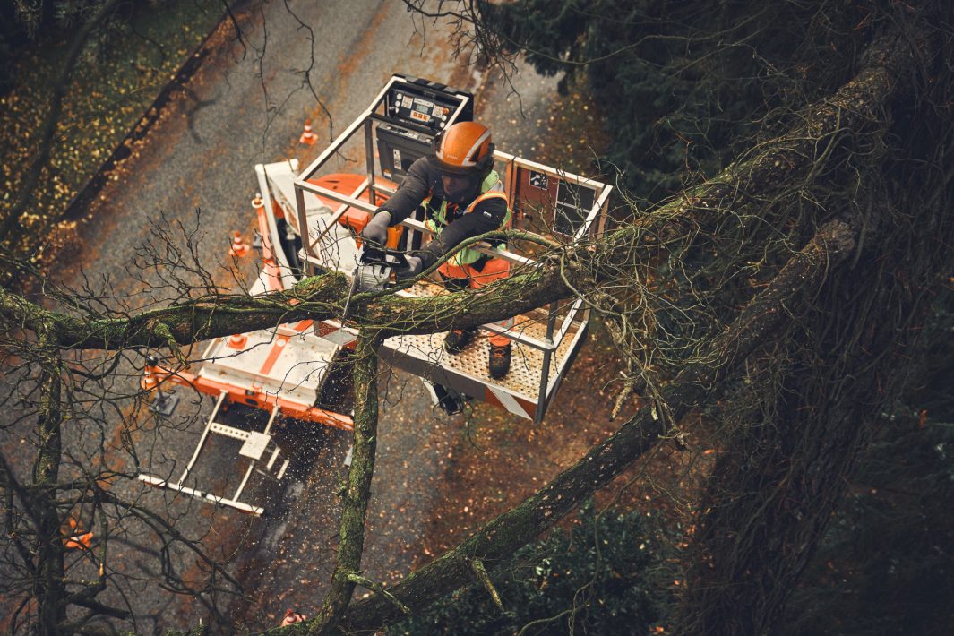 Motosega Stihl MSA 190 T