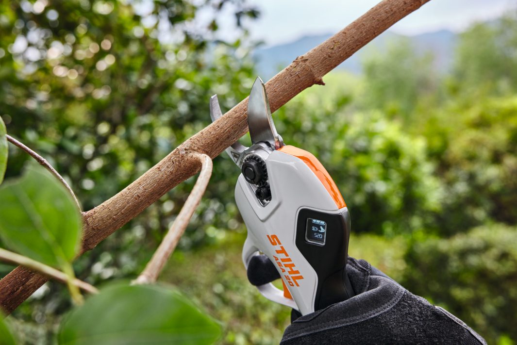 Forbice Stihl ASA 20 SET
