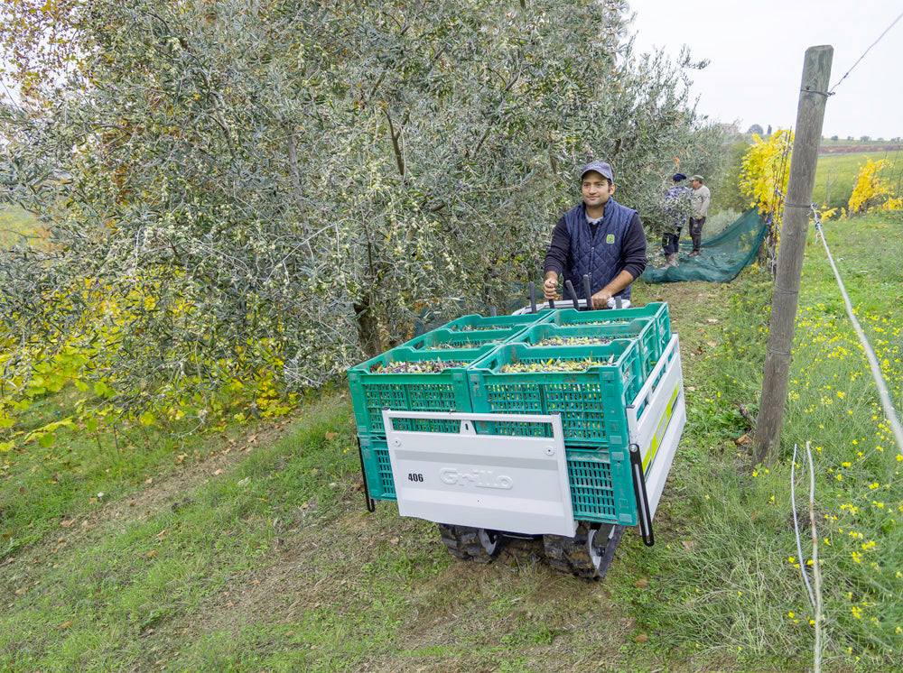 Motocarriola Grillo Dumper 406