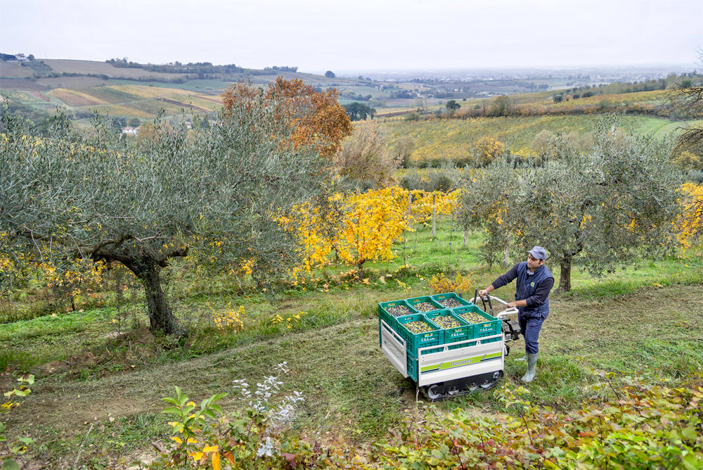 Motocarriola Grillo Dumper 406