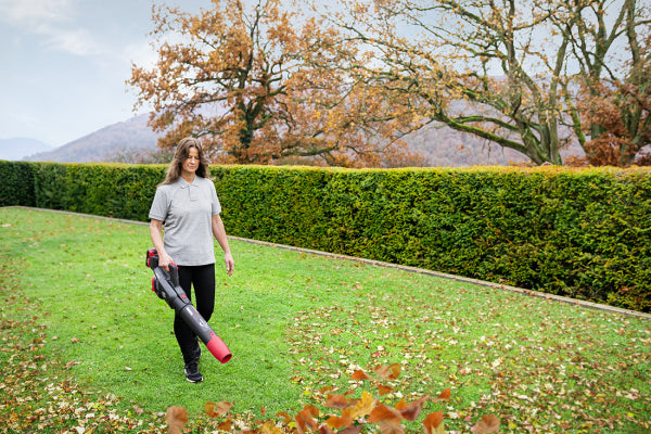 Soffiatore Cramer 800W 48V