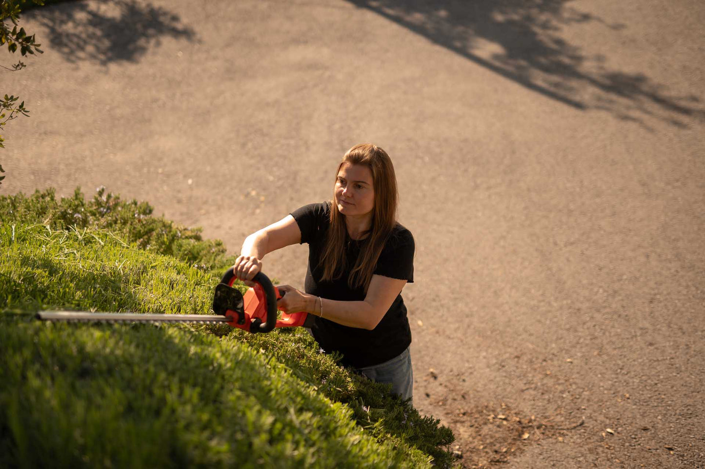 Tagliasiepi a batteria 21 V