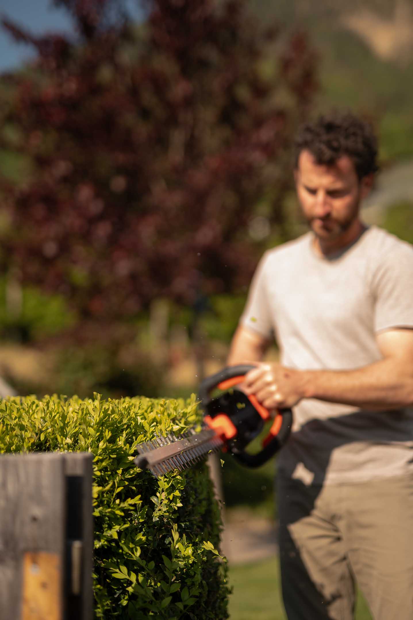 Tagliasiepi a batteria 21 V