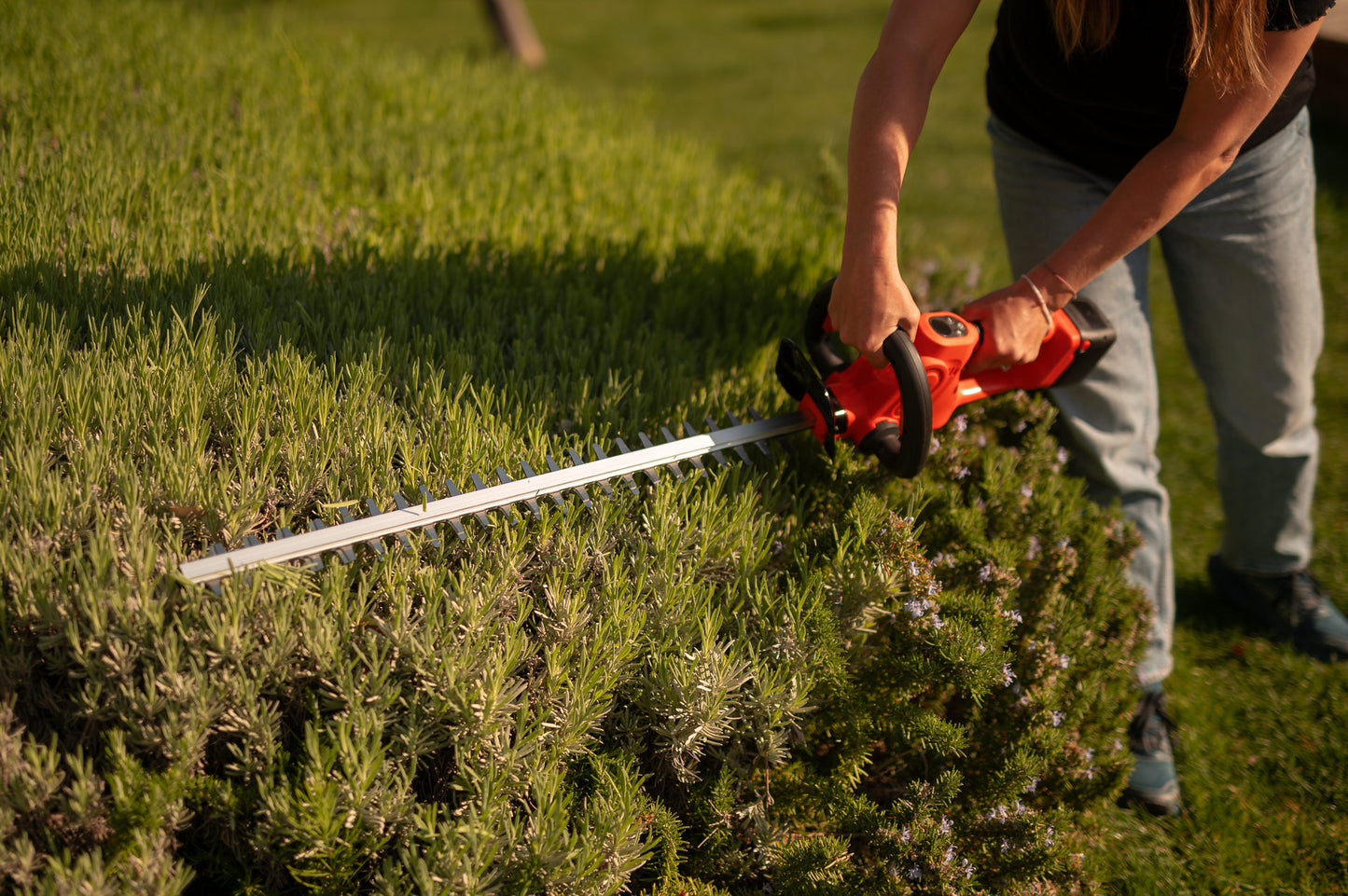 Tagliasiepi a batteria 21 V