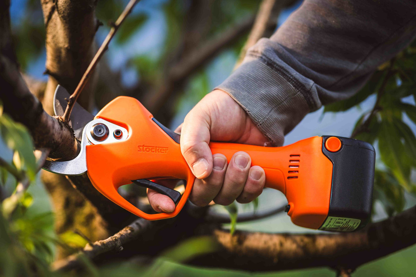 Forbice Magma E-40 TP 21 V