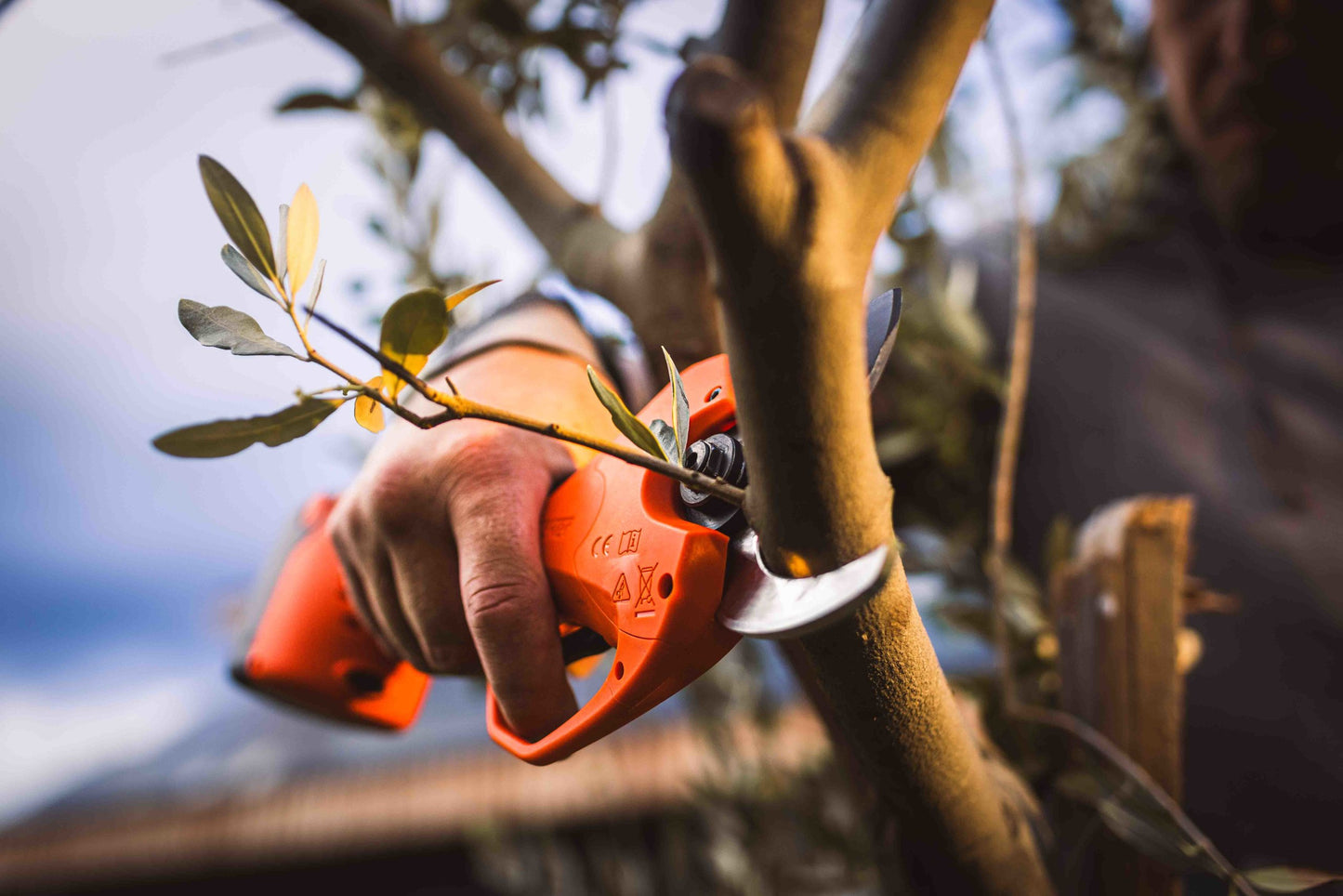 Forbice Magma E-40 TP 21 V