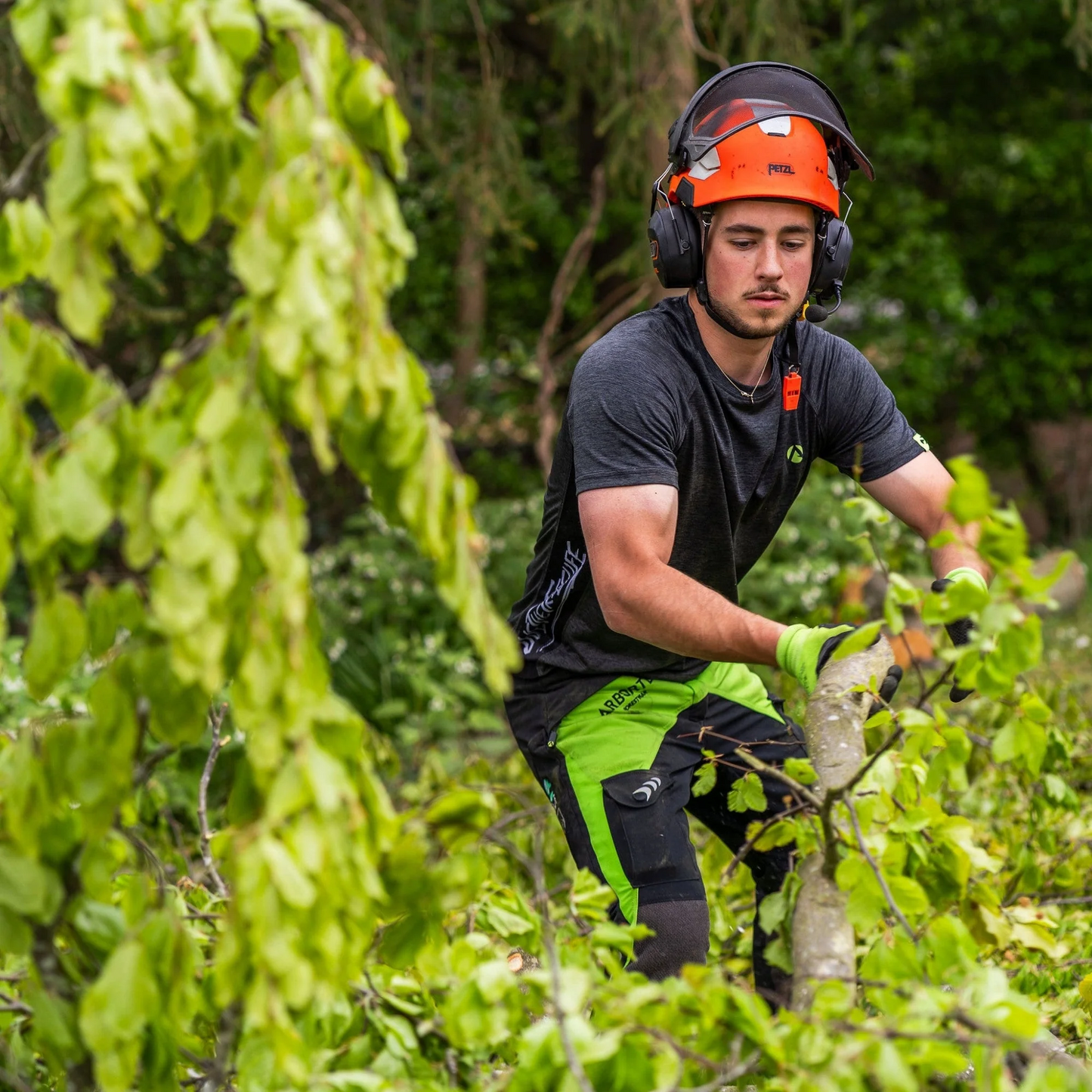 Pantalone antitaglio Breatheflex Classe 2 - Lime/Nero