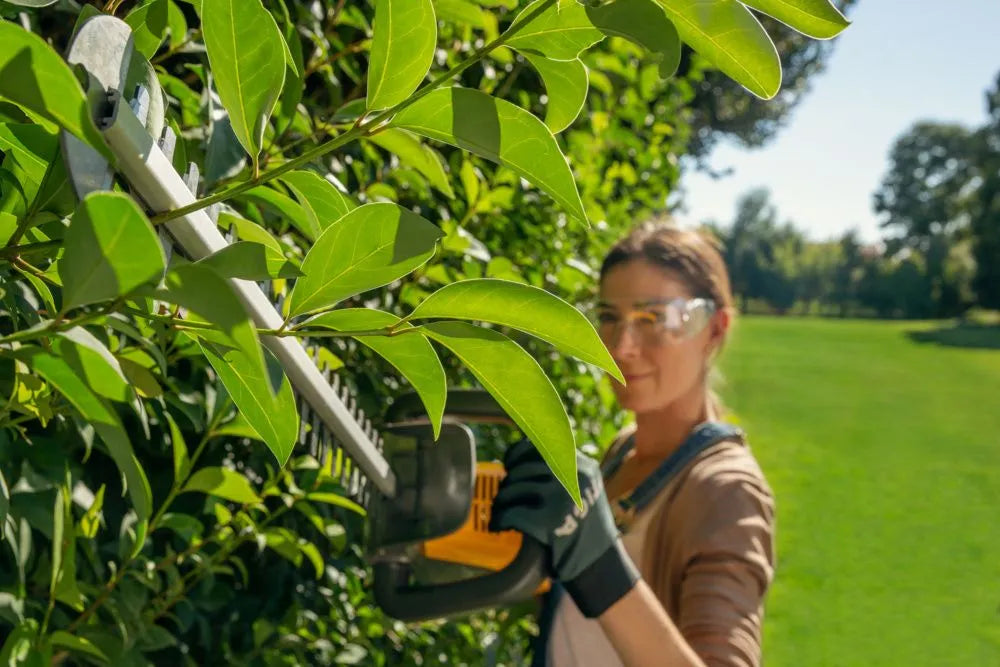 Tagliasiepi a batteria Stiga HT 500e