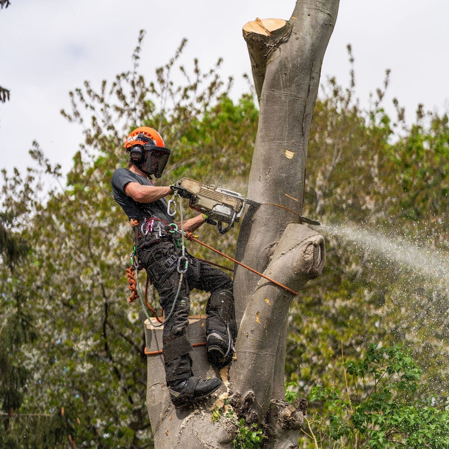 Pantalone antitaglio Breatheflex Pro Freestyle Classe 1 (20 ms) - Nero