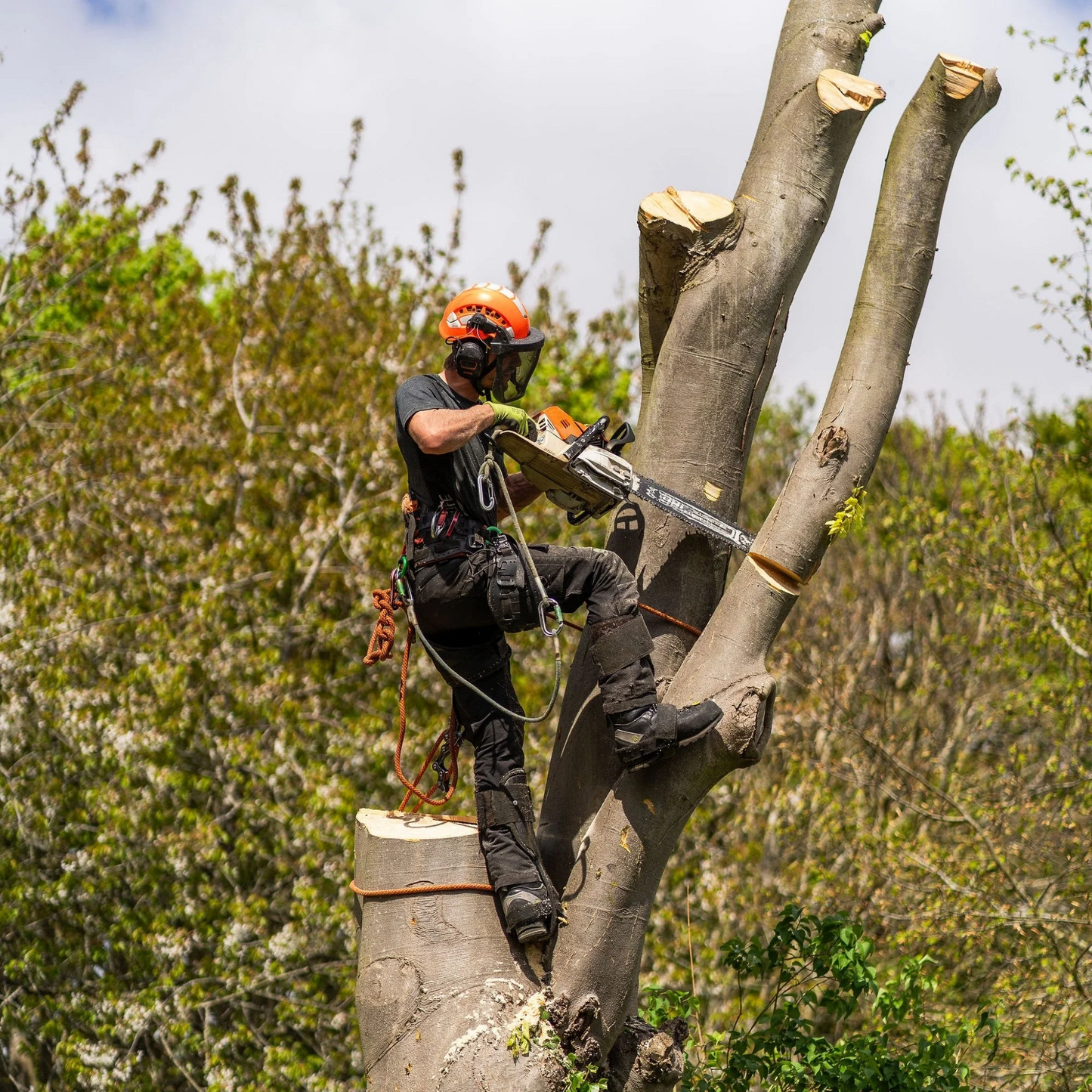 Pantalone antitaglio Breatheflex Pro Freestyle Classe 1 (20 ms) - Nero