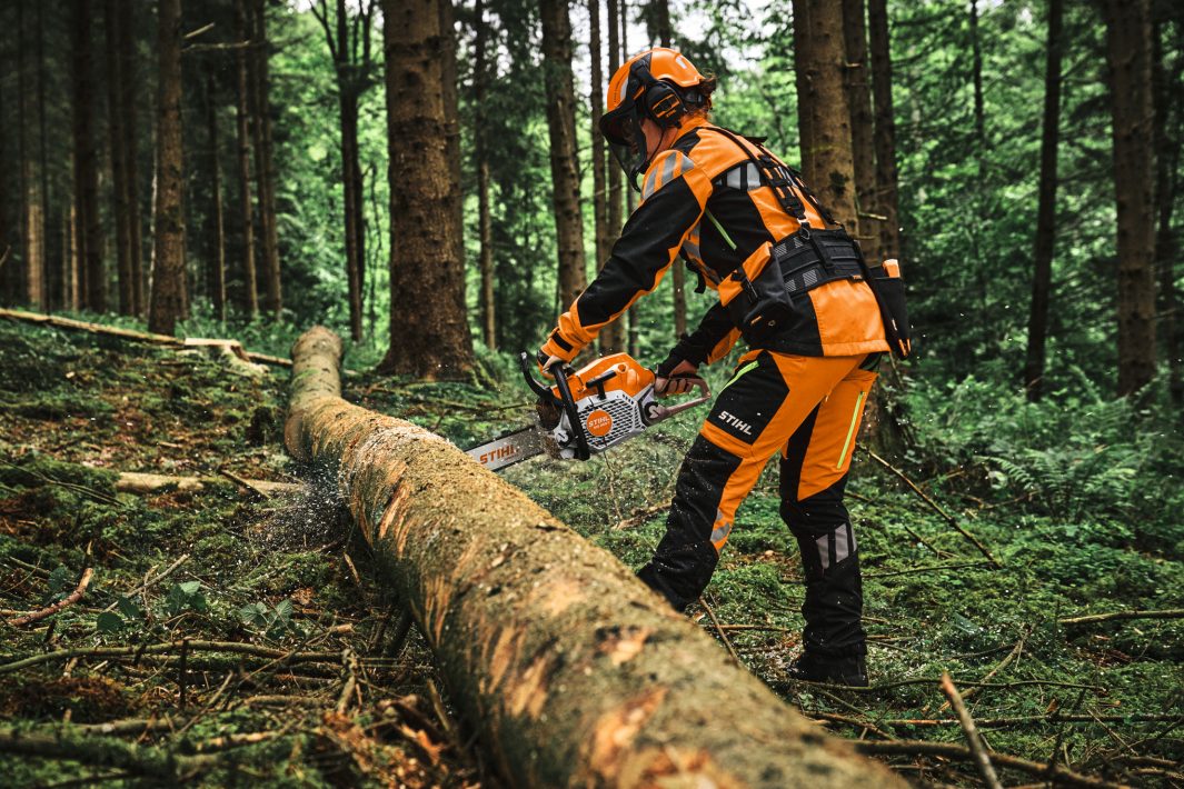 Motosega Stihl MS 300 C-M