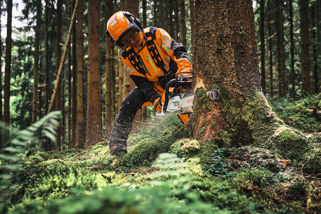 Motosega Stihl MS 300 C-M